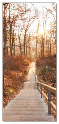 Produktbild von Wallario selbstklebende Türtapete 93 x 205 cm mit Schutzlaminat - Weg in den Sonnenuntergang