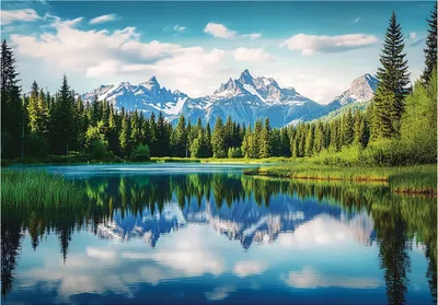 Produktbild von Fototapete 3D Effekt Wald Landschaft - 300x210 cm - inklusive kleister - Vlies Tapete - Vliestapete Wohnzimmer Schlafzimmer Küche Modern Wandtapete