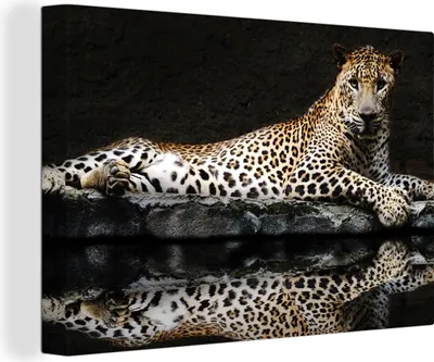 Produktbild von OneMillionCanvasses® - Leinwandbilder - 140x90 cm, Leopard - Wasser - Wald, Wandbilder Kunstdruck Wanddekoration - Foto auf Leinwand - Gemälde auf Holzrahmen