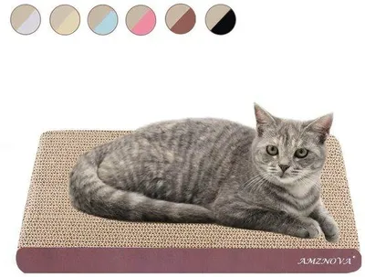 Image de Tapis pour chat en carton recyclable, 7 couleurs, 2 tailles, avec des herbes pour chat
