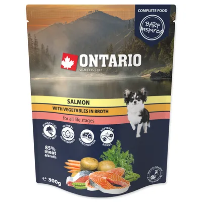 Produktbild von Ontario Lachs mit Gemüse in Brühe 300g