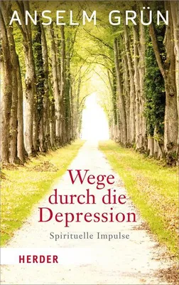 Produktbild von Wege durch die Depression