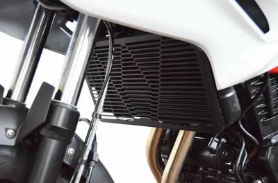 Immagine prodotto di Griglia protezione radiatore ISOTTA nero per BMW f 700 gs