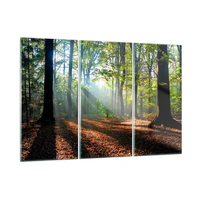 Produktbild von Bilder auf glas - Wald Blätter Sonne - 105x70cm - Glasbilder - Wandbilder - Kunstdruck - zum Aufhängen bereit - Wanddekoration aus Glas - Glas Bilder - Wandbild auf Glas - 3 Teile - GCE105x70-0136