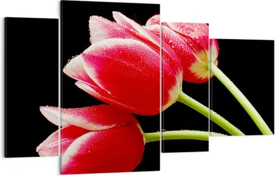 Produktbild von Bild auf Leinwand - Leinwandbild - Tulpe garten blume blumenstrauß - 120x70cm - Wand Bild - Wanddeko - Leinwanddruck - Bilder - Kunstdruck - Leinwand bilder - Wandkunst - DL120x70-1494