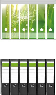 Produktbild von Wallario 6 Stück breite Ordner inkl. Klebeetiketten mit Motive Pusteblume Nahaufnahme -  Set mit Rückenschildern / Ordnerrücken Stickern