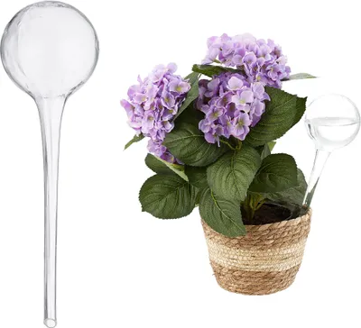 Zdjęcie produktu dla Relaxdays – zestaw 2 kulek nawadniających, precyzyjne nawadnianie roślin, doniczka, pomoc w podlewaniu do biura, szkło Ø 9 cm, przezroczyste