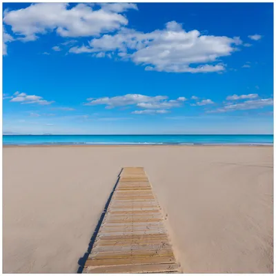 Produktbild von Wallario Wandbild aus Acryl, 50 x 50 cm, freischwebende Optik - Auf dem Holzweg zum blauen Meer