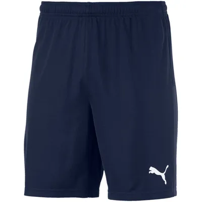 Produktbild von Puma TeamGOAL 23 Knit Shorts kurze Herren Hose Sporthose Trainingshose blau 704262-06, Größe:S