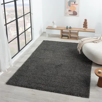 A shaggy rug in a modern living room setting.