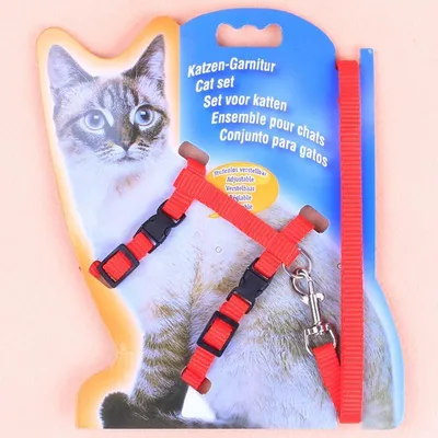 Image de Harnais pour chat avec laisse - Harnais de poitrine pour chat - Nylon réglable - Robuste et résistant à la déchirure - Pour chats jusqu'à 5 kg - Rouge