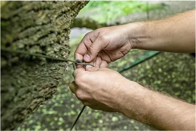 Produktbild von Paracord-Seil 30 m x 4 mm Dunkelgrün aus Nylon, hochfest, 400 kg Tragkraft