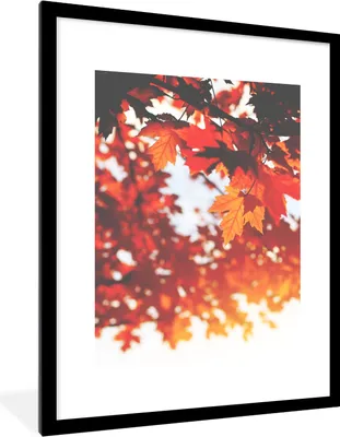 Produktbild von MuchoWow® Gerahmtes Poster Herbstliche Blätter - Rustikale Dekoration - Sonne 60x80 cm - Poster mit Schwarzem Bilderrahmen Wandposter Rahmen Foto Bilder - Wohnzimmer - Dekorationen - Prämie
