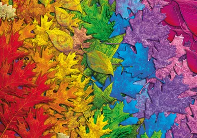 Immagine prodotto di SCHMIDT Puzzle Foglie colorate 1500 pezzi