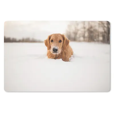 Produktbild von MuchoWow® Schreibtischunterlage Hund - Schnee - Winter 60x40 cm - XXL Mauspad - Großes Mauspad