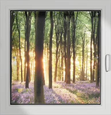 Produktbild von Wallario Lichtschutzbild, Dekorativer Sichtschutz Sonnenschutz 96 x 100 cm mit Motiv: Blaue Hasenglöckchen im Wald mit Sonnenstrahlen - Verdunklung ohne Bohren