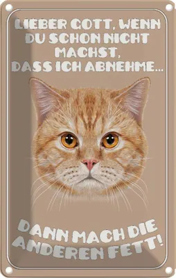 Produktbild von vianmo Blechschild 18x12 cm Katze lieber Gott wenn du schon nicht Tier Haustier