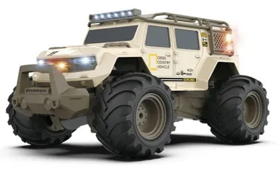 Produktbild von RC Amphibienfahrzeug RACOON 4WD Allrad Ferngesteuertes Auto Monster Truck