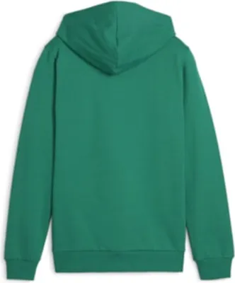 Productafbeelding van Puma Teamgoal Hoodie voor kinderen - Groen