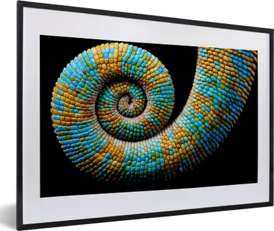 Produktbild von MuchoWow® MuchoWow® Gerahmtes Poster Chamäleon - Schwanz - Farbe 60x40 cm - Poster mit zchwarzem Bilderrahmen - Schlafzimmer - Plakat in Rahmen - Drucken