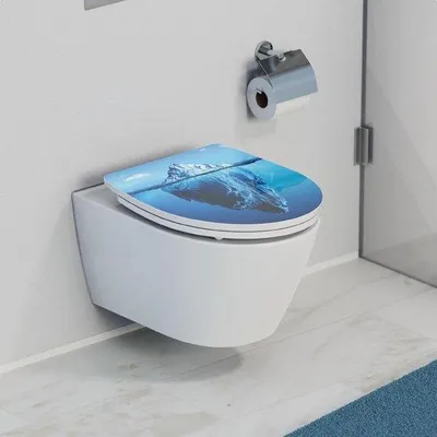 Produktbild von Famanu WC-Sitz mit Softclose und Motiv - Duroplast