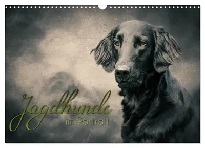 Produktbild von Jagdhunde im Portrait (Wandkalender 2027 DIN A3 quer), CALVENDO Monatskalender