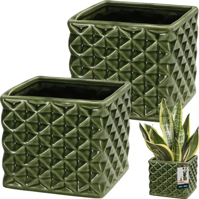 Two green ceramic planters with a geometric pattern, one with a snake plant inside, and a small product label.