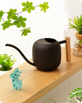 Produktbild von Gießkanne für Zimmerpflanzen, 1,2 l/41 oz, niedlicher Gießkannentopf, Gartengießkanne aus Metall und Edelstahl mit langem Ausguss für Zimmerpflanzen, Bonsai, Gartenblumen im Freien, dekorativ