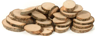 Produktbild von EDUPLAY 200159 Naturholzscheiben oval 30er Set, natur