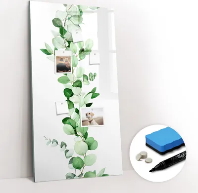 Produktbild von Magnetpinnwand Memoboard - Zubehörsatz - Schwarzer Marker + Schwamm + Magnete - 60 x 120 cm - Blattpflanzentrieb