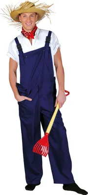 Image de Salopette adulte bleue M