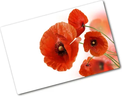 Produktbild von Tulup Glas Herdabdeckplatte - 80x52 cm - Glaskeramikkochfeld-Abdeckung Spritzschutz Glasabdeckplatte - Einteilig - Blumen & Pflanzen - Mohnblumen - Rot