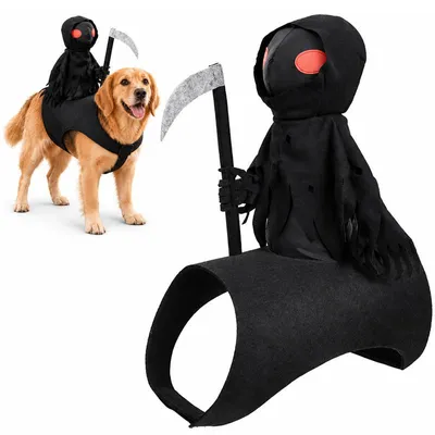 Produktbild von Halloween Hundekostüm 3D Reiter, Haustierkostüm für Hunde und Katzen, verstellbar, leicht, für Halloween, Party und Fotoshooting-L