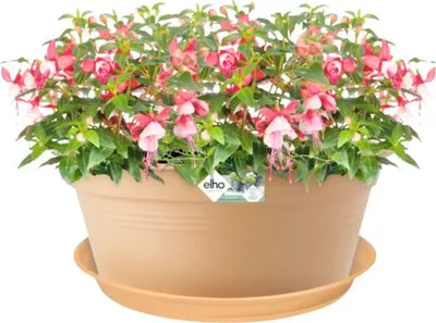 Obrázok produktu pre elho green basics saucer 45cm, Podšálka, Polypropylene, Terakota, 56 mm, 400 g, 45,2 cm