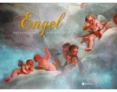 Imagen del producto de Engel