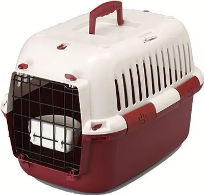Produktbild von Transportbox Paw Front