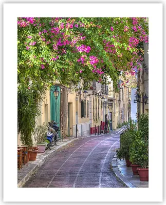Produktbild von Poster - Poster ohne Rahmen - Straße dekoration blumen griechenland - 40x50 cm - Wand Bild - Wanddeko - Wandbilder - Kunstposter - Wandposter - Bilder - Kunstdruck - Wandbild - P2XPA40x50-2429