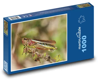 Obrázek produktu pro martinpuzzle - Puzzle 1000 - Saranče