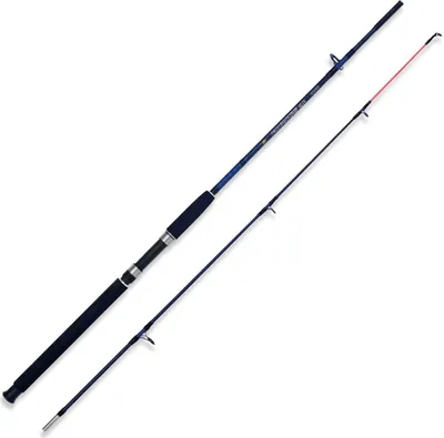 Immagine prodotto di Canna da spinning Lineaeffe Caspian Pro argento 1,50 m / 250 g argento 1,50 m
