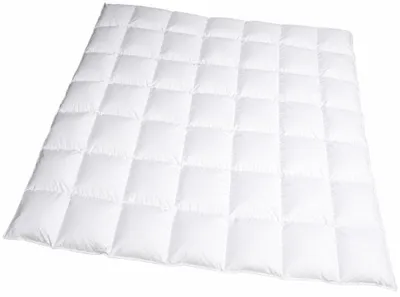 Produktbild von Betten Hofmann Sibiria exclusiv Daunendecke Daunenbett 7x7 200x200 sibirische Wildgans