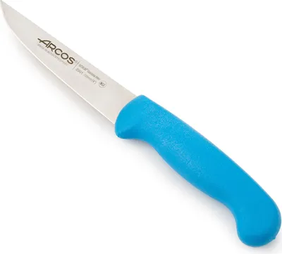 Zdjęcie produktu dla Nóż do obierania Arcos 2900 - Prof 290123 stal nierdzewna nitrum mango ergonomiczne niebieskie ostrze z polipropylenu 10 cm, etui ekspozycyjne