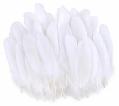 100 weiße Bastelfedern, groß, 10-17 cm, für DIY & Deko