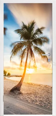 Produktbild von MuchoWow® Türtapete Selbstklebende Türfolie Sonnenuntergang - Strand - Palme 90x235 cm Türposter Türaufkleber Klebefolie Türklebefolie - XXL-Plakaten - Foster für Türen - Aufkleber