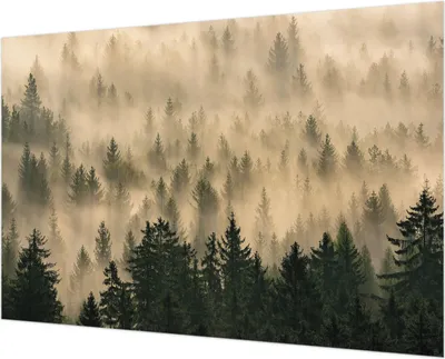 Produktbild von Wandtapete - Dekorative Tapete für Wohnzimmer - Tapetenfolie für Wanddekoration - 152x104 cm - Waldnebel