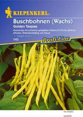 Produktbild von Kiepenkerl Profi-Line Buschbohnensamen Golden Teepee
