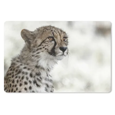 Produktbild von MuchoWow® Mauspad Mousepad Junger Gepard im Schnee 27x18 cm - Mousepads - Maus Mat - Pad - Mausunterlage - Büroartikel - Desk Matten