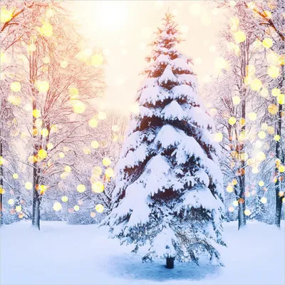 Produktbild von Wallario Wandbild aus Acryl, 50 x 50 cm, freischwebende Optik - Winterzauber im Lichterglanz