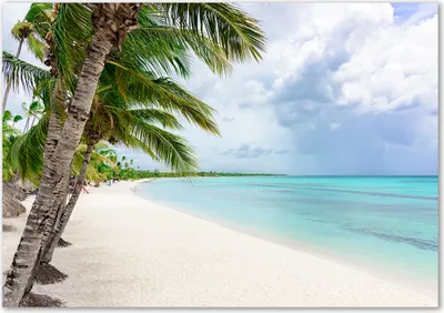 Produktbild von Tulup® Glas-Bild - 100 x 70 - Wandbild aus Glas - Wandkunst - Wandbild hinter gehärtetem Sicherheitsglas - Landschaften - Tropischer Strand - Grün