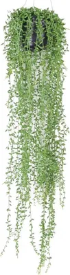 Produktbild von Seidenpflanze Hängepflanze mit Topf Senecio Kunstpflanze Kollektion