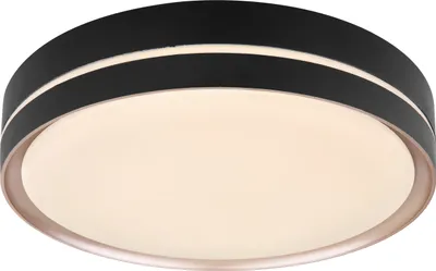 A close-up studio shot of a black ceiling light fixture.
